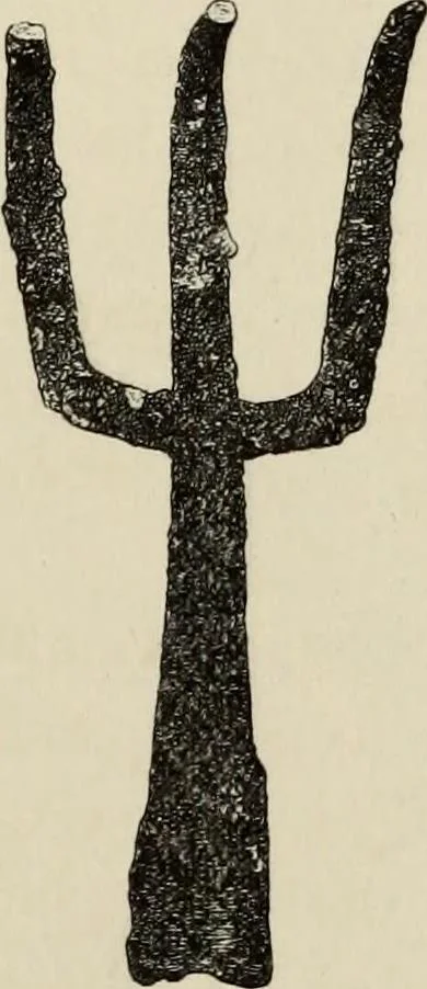 An illustration from Mycenae : a narrative of researches and discoveries at Mycenae and Tiryns, 1878, leaf 343