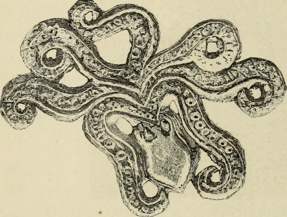 An illustration from Mycenae : a narrative of researches and discoveries at Mycenae and Tiryns, 1878, leaf 356