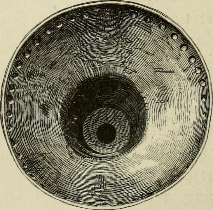 An illustration from Mycenae : a narrative of researches and discoveries at Mycenae and Tiryns, 1878, leaf 356