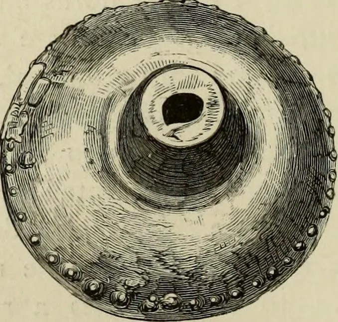 An illustration from Mycenae : a narrative of researches and discoveries at Mycenae and Tiryns, 1878, leaf 356