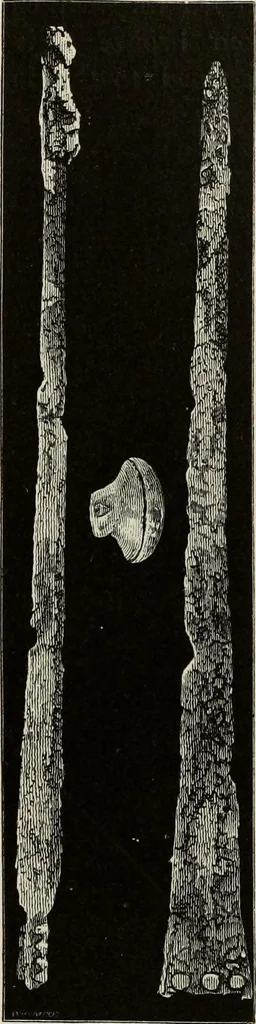 An illustration from Mycenae : a narrative of researches and discoveries at Mycenae and Tiryns, 1878, leaf 369