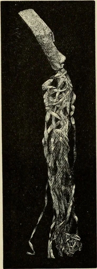 An illustration from Mycenae : a narrative of researches and discoveries at Mycenae and Tiryns, 1878, leaf 392