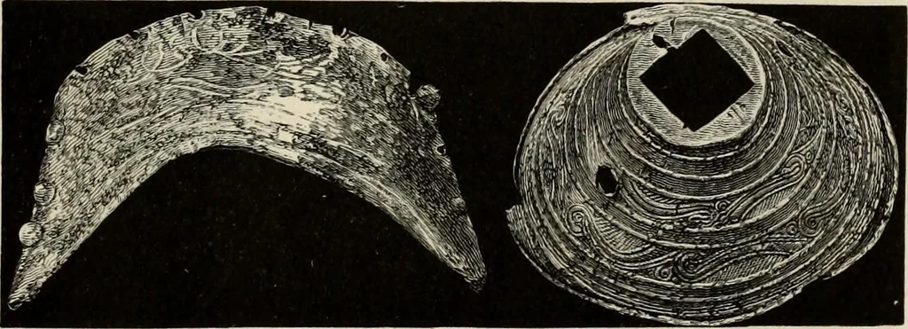 An illustration from Mycenae : a narrative of researches and discoveries at Mycenae and Tiryns, 1878, leaf 393
