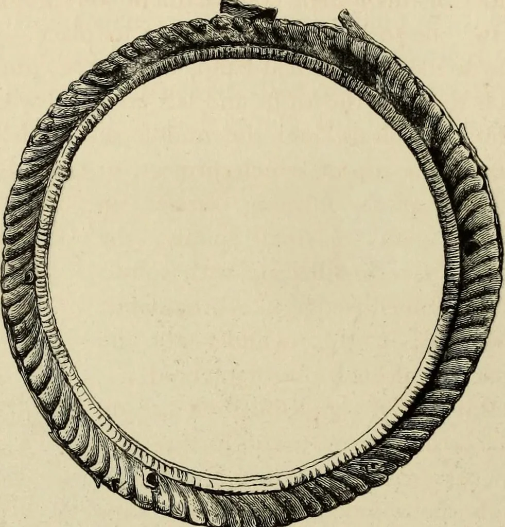An illustration from Mycenae : a narrative of researches and discoveries at Mycenae and Tiryns, 1878, leaf 408
