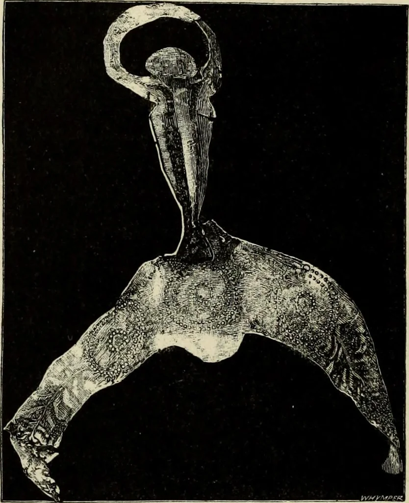 An illustration from Mycenae : a narrative of researches and discoveries at Mycenae and Tiryns, 1878, leaf 416