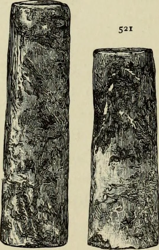 An illustration from Mycenae : a narrative of researches and discoveries at Mycenae and Tiryns, 1878, leaf 416