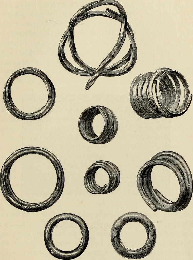 An illustration from Mycenae : a narrative of researches and discoveries at Mycenae and Tiryns, 1878, leaf 441
