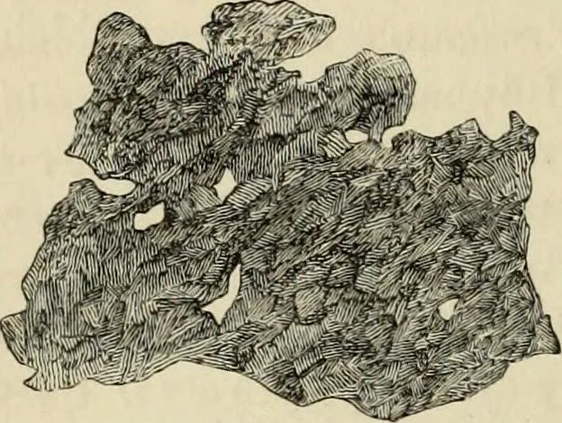 An illustration from Mycenae : a narrative of researches and discoveries at Mycenae and Tiryns, 1878, leaf 456