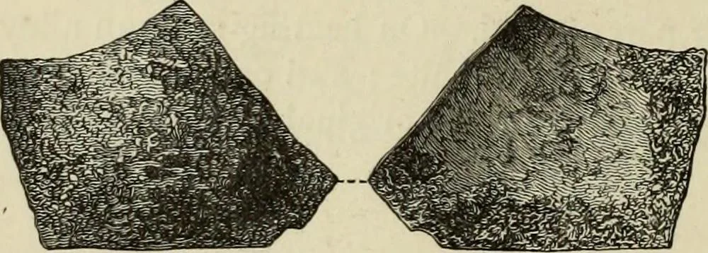 An illustration from Mycenae : a narrative of researches and discoveries at Mycenae and Tiryns, 1878, leaf 458