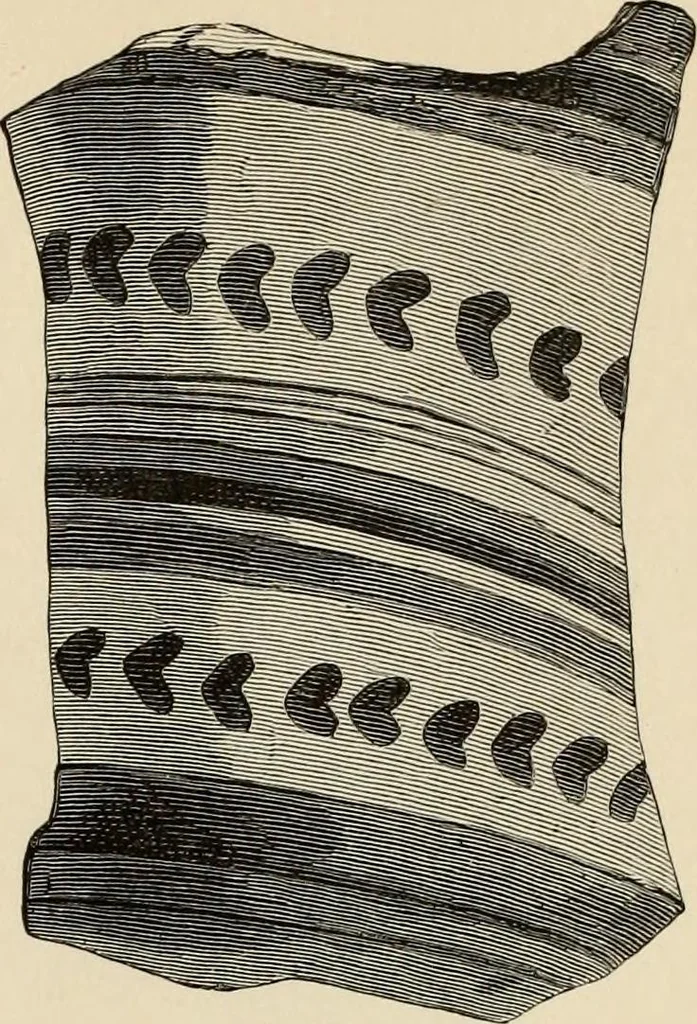 An illustration from Mycenae : a narrative of researches and discoveries at Mycenae and Tiryns, 1878, leaf 487