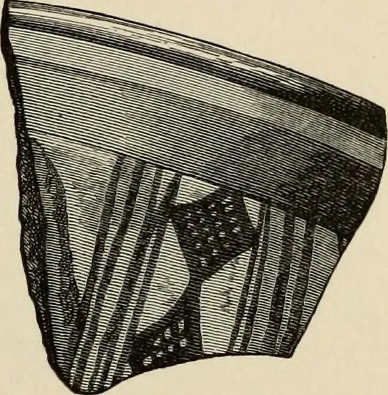 An illustration from Mycenae : a narrative of researches and discoveries at Mycenae and Tiryns, 1878, leaf 489