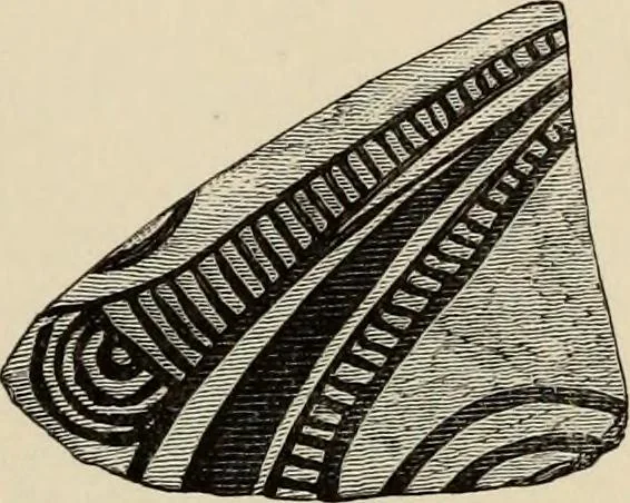 An illustration from Mycenae : a narrative of researches and discoveries at Mycenae and Tiryns, 1878, leaf 489