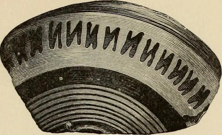 An illustration from Mycenae : a narrative of researches and discoveries at Mycenae and Tiryns, 1878, leaf 491