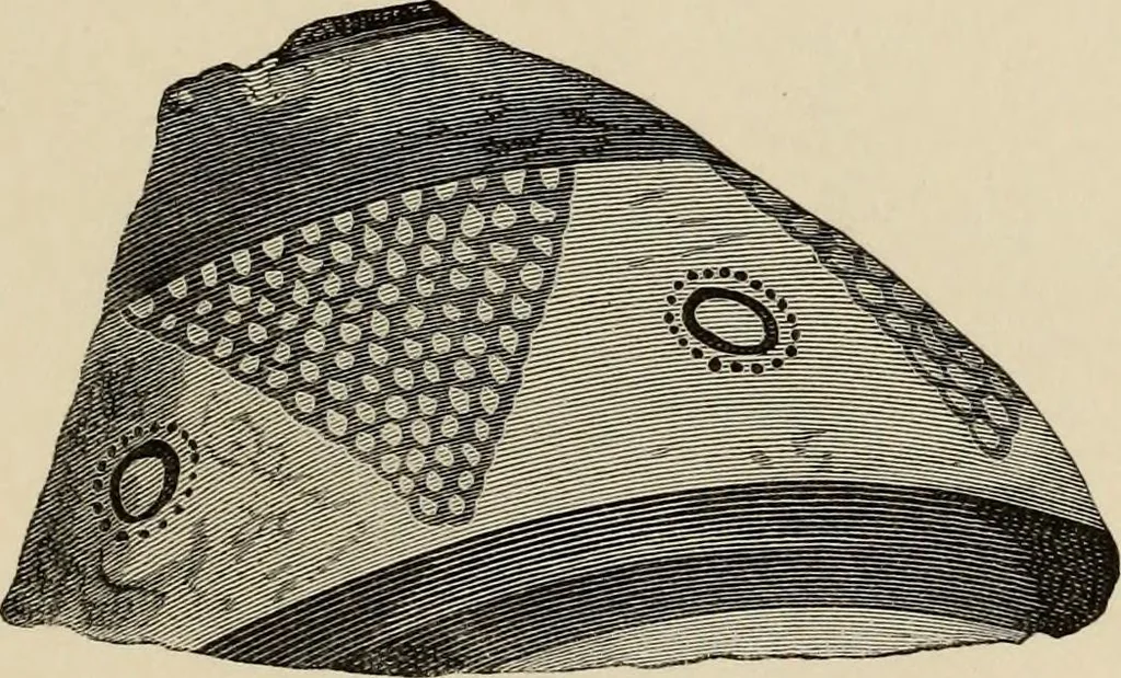 An illustration from Mycenae : a narrative of researches and discoveries at Mycenae and Tiryns, 1878, leaf 495