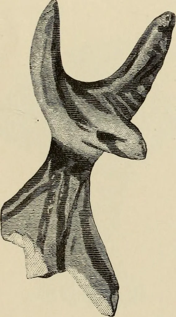 An illustration from Mycenae : a narrative of researches and discoveries at Mycenae and Tiryns, 1878, leaf 499