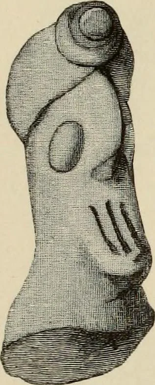 An illustration from Mycenae : a narrative of researches and discoveries at Mycenae and Tiryns, 1878, leaf 503