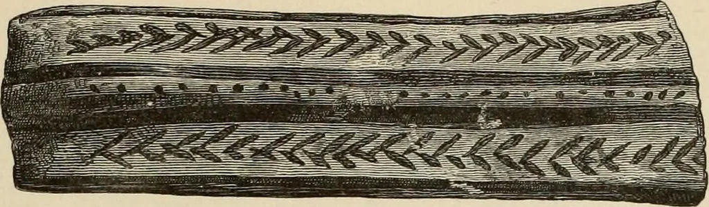 An illustration from Mycenae : a narrative of researches and discoveries at Mycenae and Tiryns, 1878, leaf 505