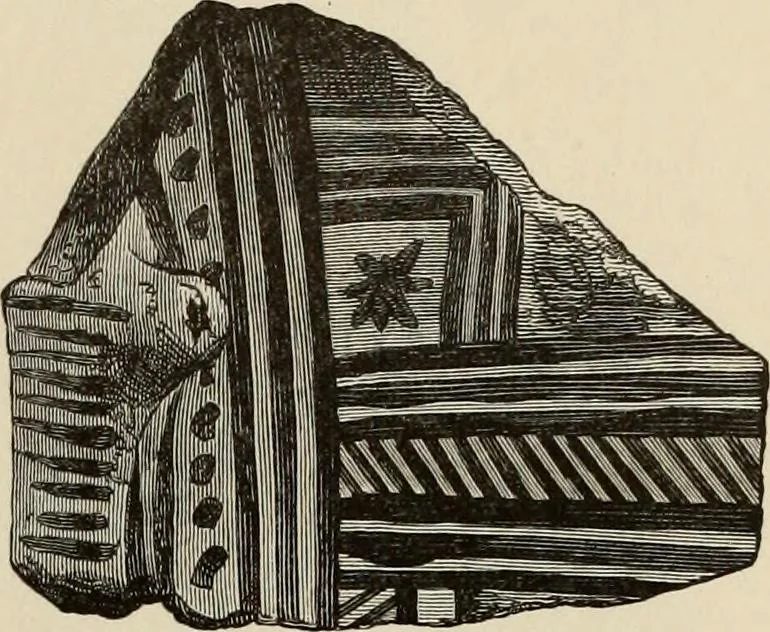 An illustration from Mycenae : a narrative of researches and discoveries at Mycenae and Tiryns, 1878, leaf 505