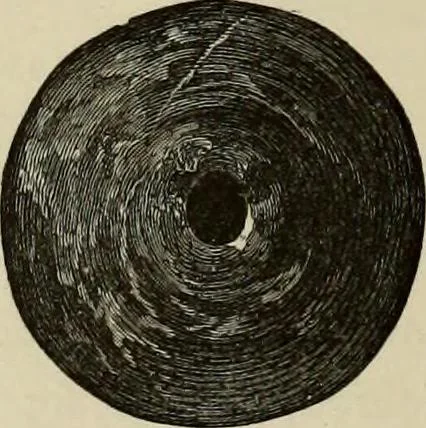 An illustration from Mycenae : a narrative of researches and discoveries at Mycenae and Tiryns, 1878, leaf 93