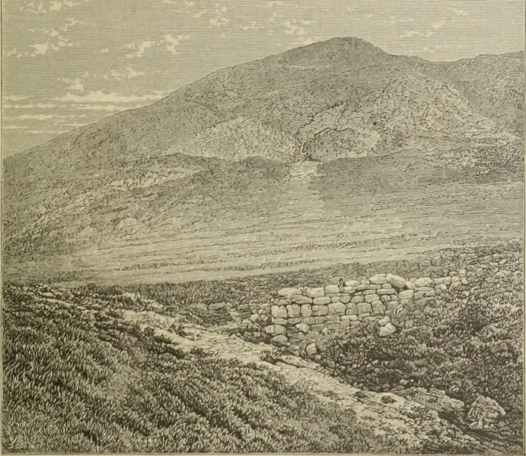 An illustration from Mycen©Œ : a narrative of researches and discoveries at Mycen©Œ and Tiryns, 1878, leaf 104