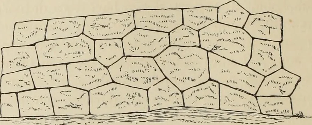 An illustration from Mycen©Œ : a narrative of researches and discoveries at Mycen©Œ and Tiryns, 1878, leaf 111