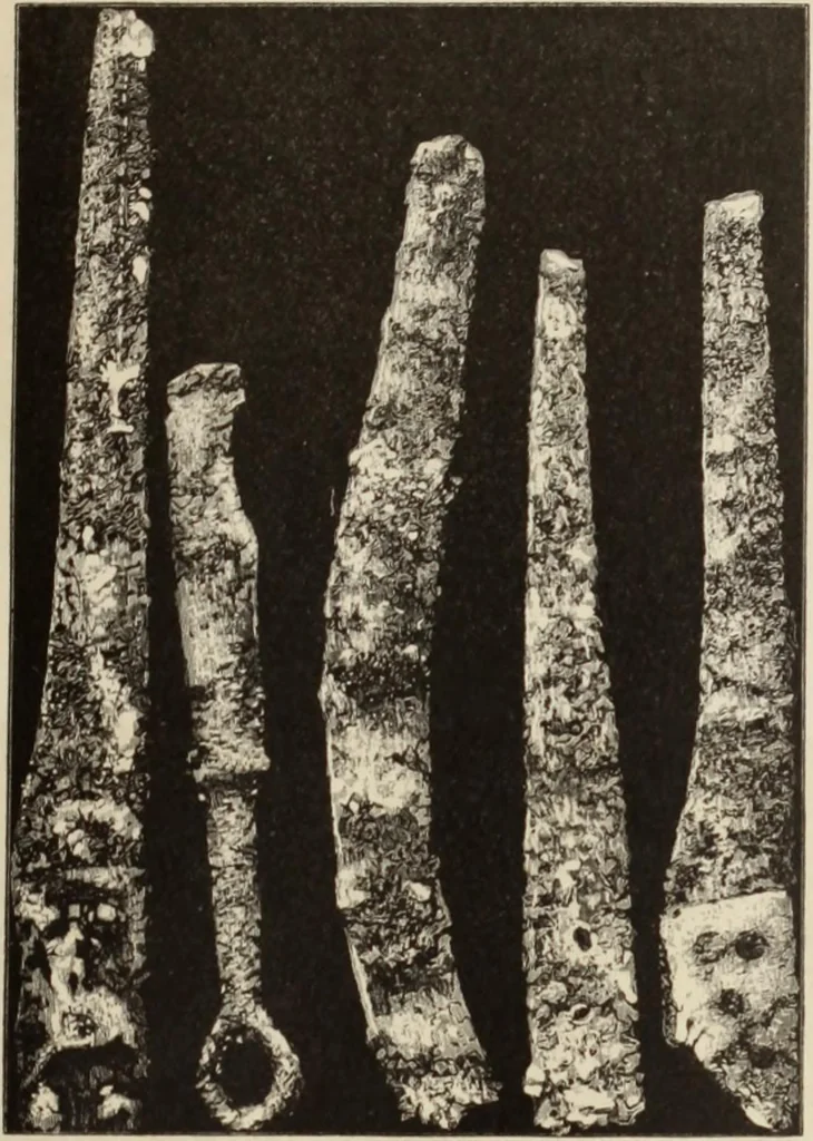 An illustration from Mycen©Œ : a narrative of researches and discoveries at Mycen©Œ and Tiryns, 1878, leaf 160
