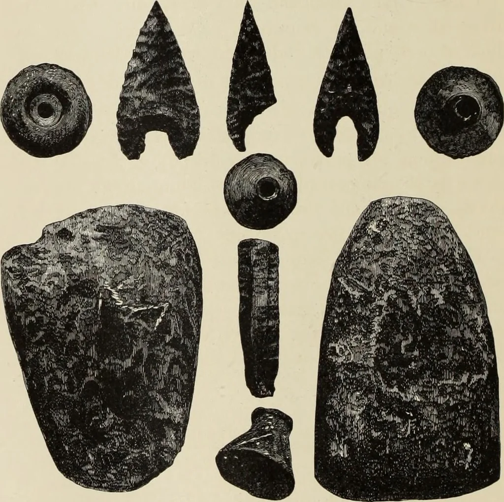 An illustration from Mycen©Œ : a narrative of researches and discoveries at Mycen©Œ and Tiryns, 1878, leaf 161