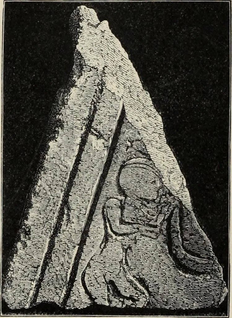 An illustration from Mycen©Œ : a narrative of researches and discoveries at Mycen©Œ and Tiryns, 1878, leaf 177