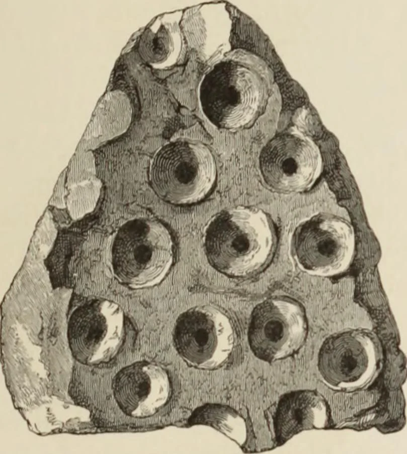 An illustration from Mycen©Œ : a narrative of researches and discoveries at Mycen©Œ and Tiryns, 1878, leaf 186