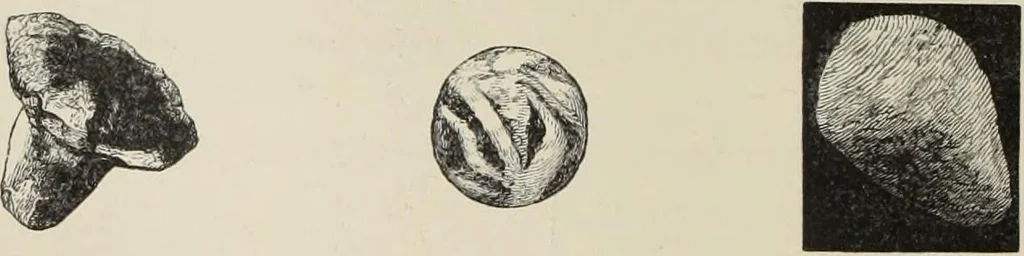 An illustration from Mycen©Œ : a narrative of researches and discoveries at Mycen©Œ and Tiryns, 1878, leaf 195