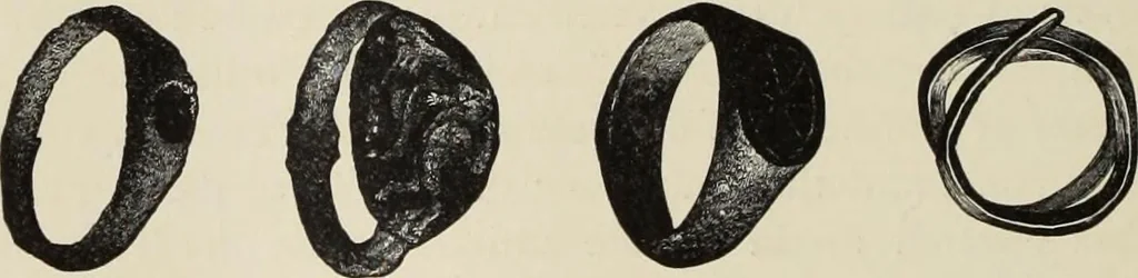 An illustration from Mycen©Œ : a narrative of researches and discoveries at Mycen©Œ and Tiryns, 1878, leaf 229