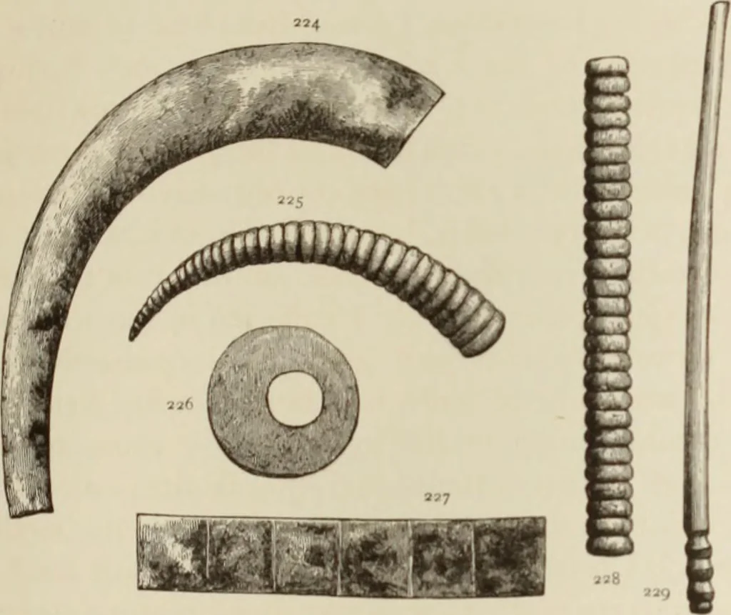An illustration from Mycen©Œ : a narrative of researches and discoveries at Mycen©Œ and Tiryns, 1878, leaf 242