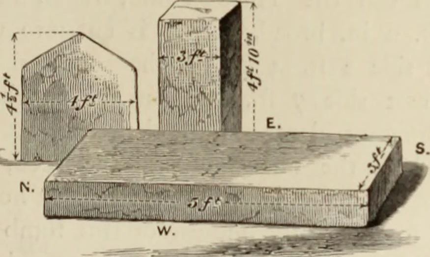 An illustration from Mycen©Œ : a narrative of researches and discoveries at Mycen©Œ and Tiryns, 1878, leaf 250