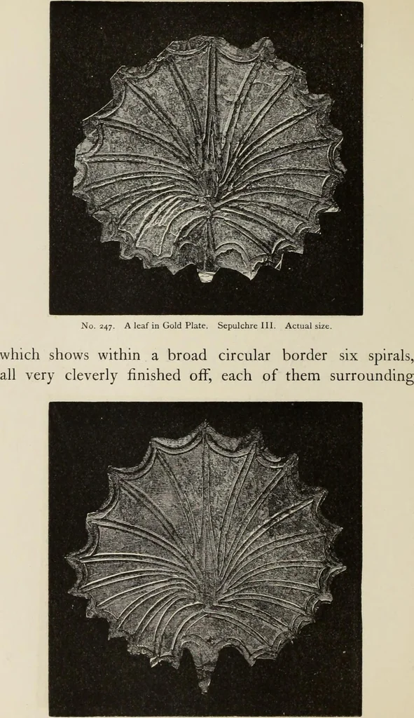An illustration from Mycen©Œ : a narrative of researches and discoveries at Mycen©Œ and Tiryns, 1878, leaf 259