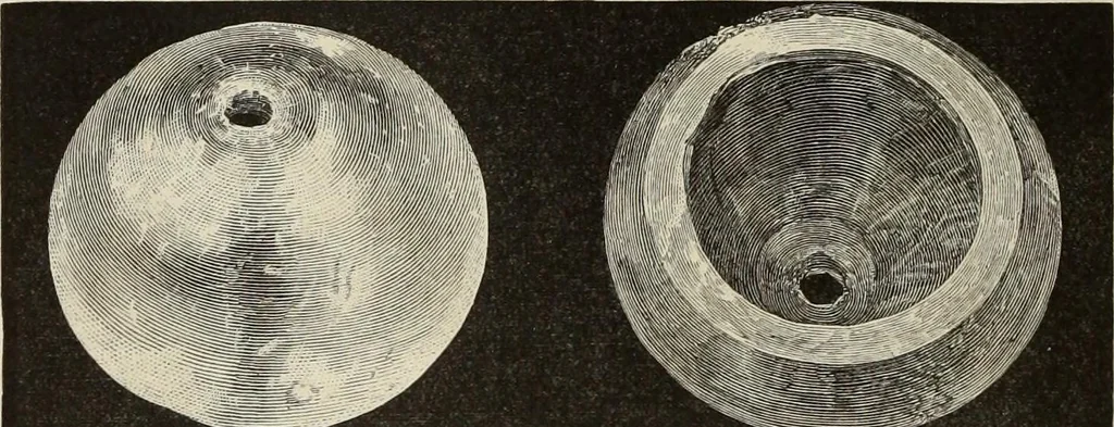 An illustration from Mycen©Œ : a narrative of researches and discoveries at Mycen©Œ and Tiryns, 1878, leaf 289
