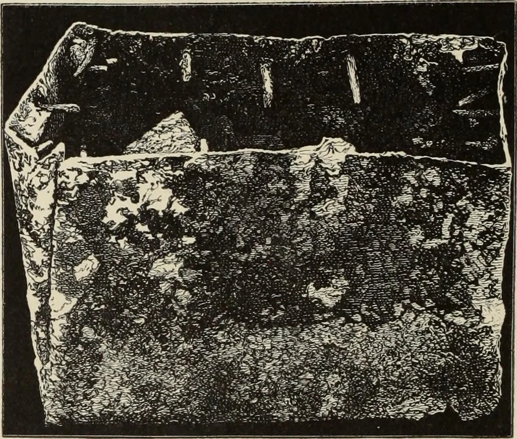 An illustration from Mycen©Œ : a narrative of researches and discoveries at Mycen©Œ and Tiryns, 1878, leaf 297