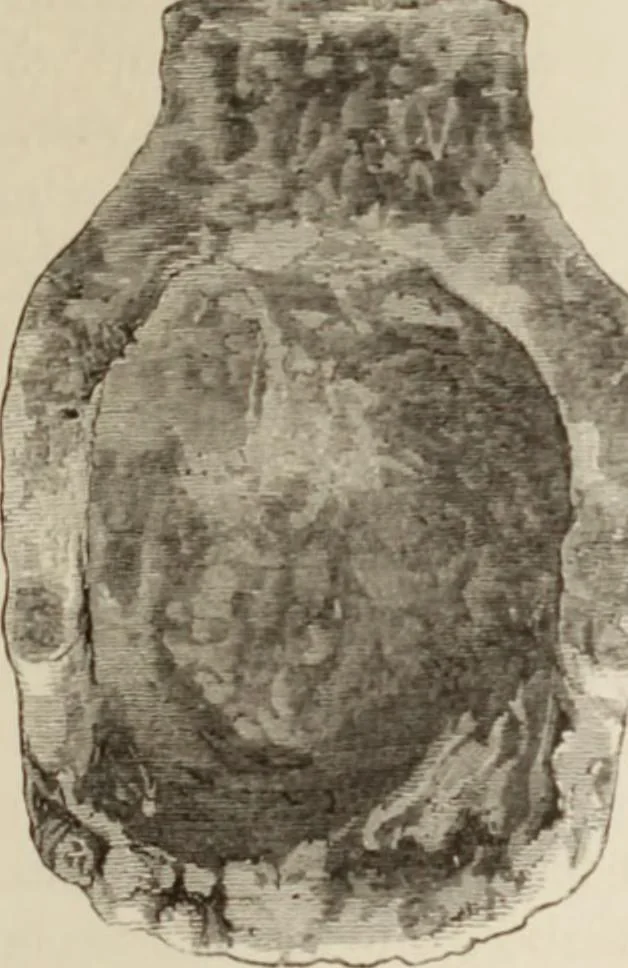 An illustration from Mycen©Œ : a narrative of researches and discoveries at Mycen©Œ and Tiryns, 1878, leaf 298