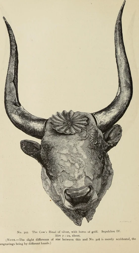 An illustration from Mycen©Œ : a narrative of researches and discoveries at Mycen©Œ and Tiryns, 1878, leaf 305