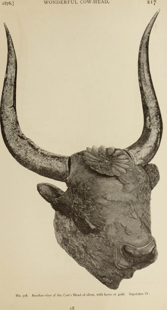 An illustration from Mycen©Œ : a narrative of researches and discoveries at Mycen©Œ and Tiryns, 1878, leaf 306