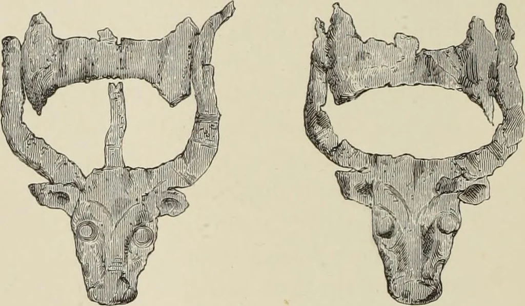 An illustration from Mycen©Œ : a narrative of researches and discoveries at Mycen©Œ and Tiryns, 1878, leaf 307