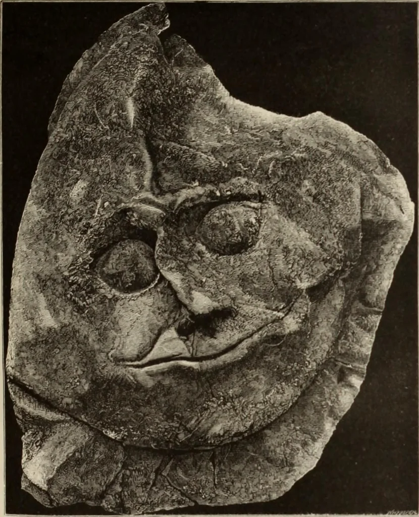 An illustration from Mycen©Œ : a narrative of researches and discoveries at Mycen©Œ and Tiryns, 1878, leaf 310