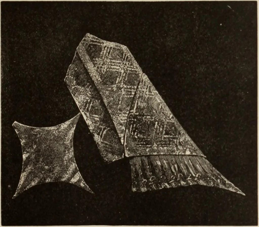 An illustration from Mycen©Œ : a narrative of researches and discoveries at Mycen©Œ and Tiryns, 1878, leaf 330