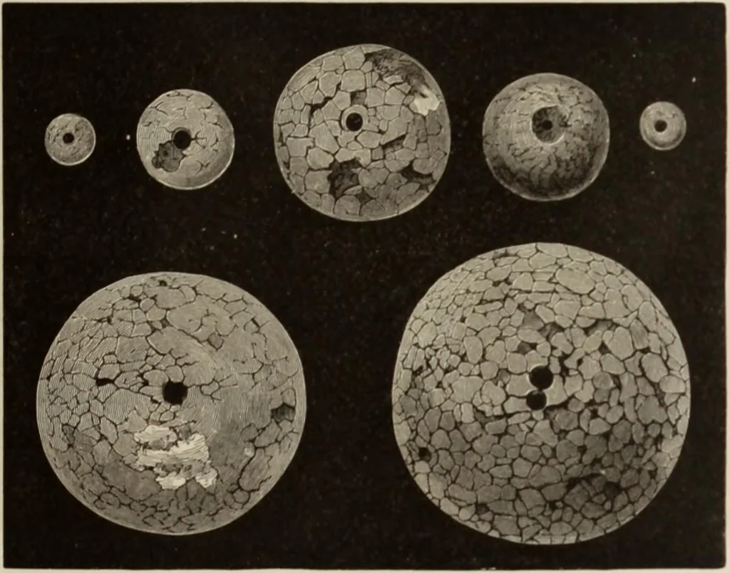An illustration from Mycen©Œ : a narrative of researches and discoveries at Mycen©Œ and Tiryns, 1878, leaf 334