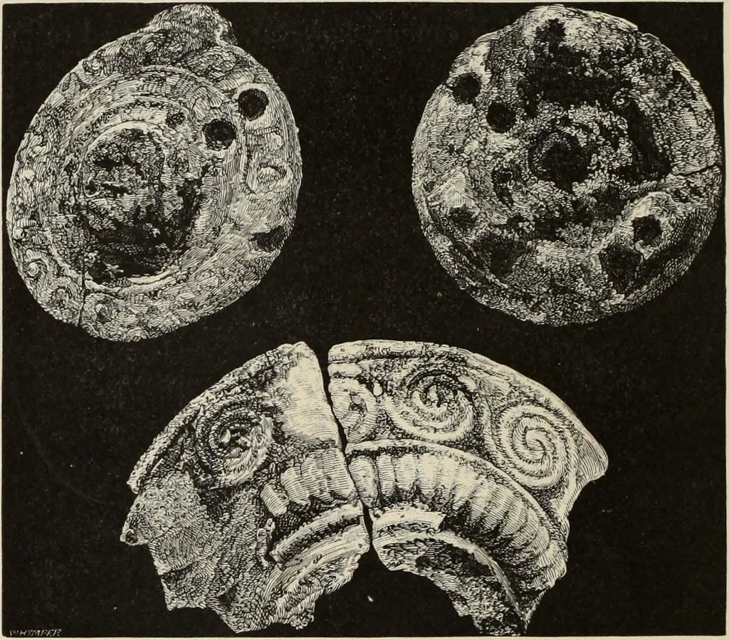 An illustration from Mycen©Œ : a narrative of researches and discoveries at Mycen©Œ and Tiryns, 1878, leaf 345