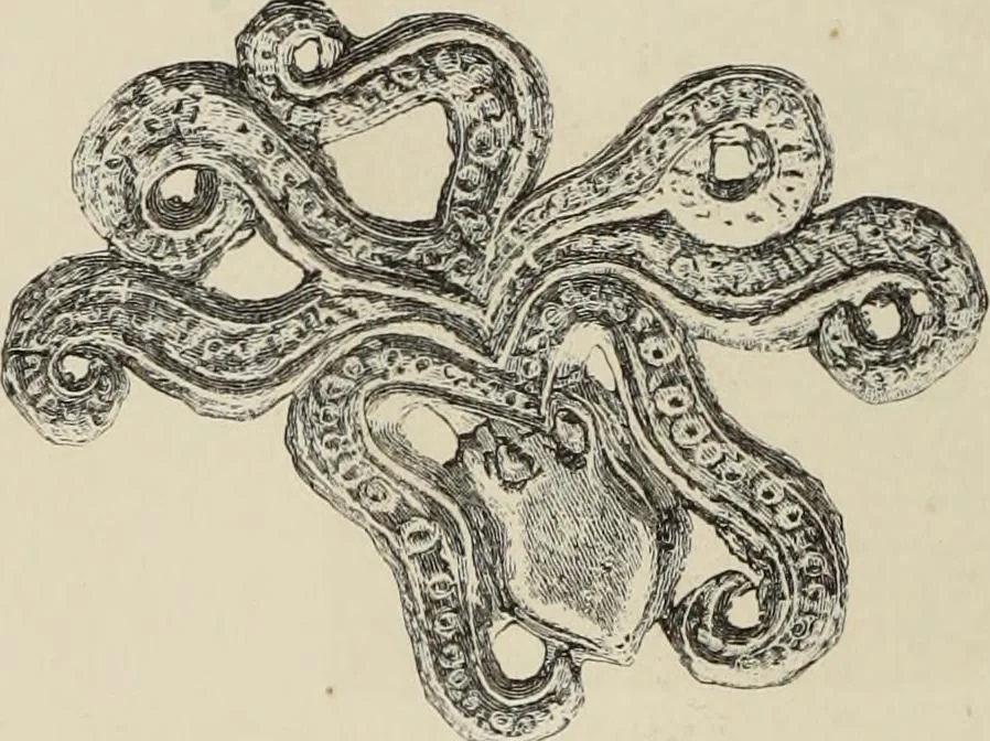An illustration from Mycen©Œ : a narrative of researches and discoveries at Mycen©Œ and Tiryns, 1878, leaf 357