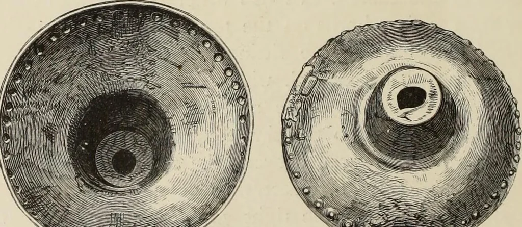 An illustration from Mycen©Œ : a narrative of researches and discoveries at Mycen©Œ and Tiryns, 1878, leaf 357