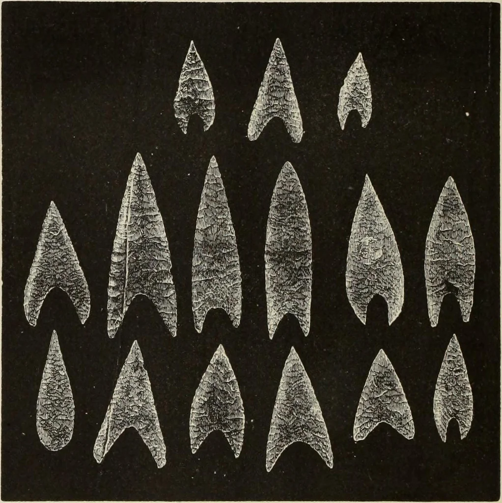 An illustration from Mycen©Œ : a narrative of researches and discoveries at Mycen©Œ and Tiryns, 1878, leaf 361