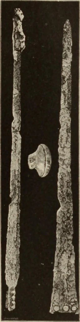 An illustration from Mycen©Œ : a narrative of researches and discoveries at Mycen©Œ and Tiryns, 1878, leaf 370