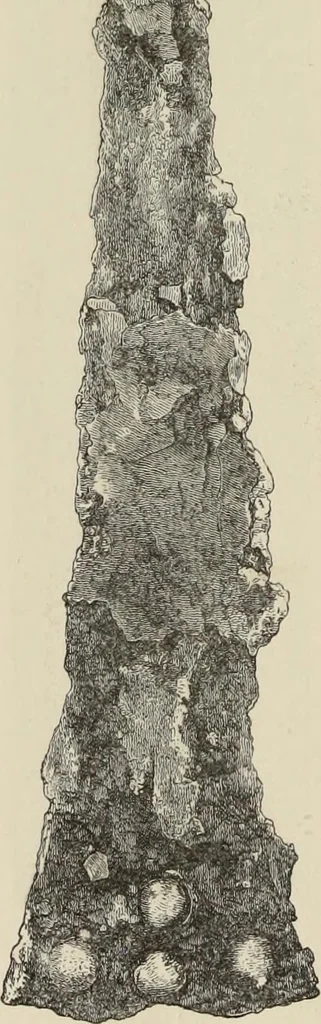 An illustration from Mycen©Œ : a narrative of researches and discoveries at Mycen©Œ and Tiryns, 1878, leaf 371