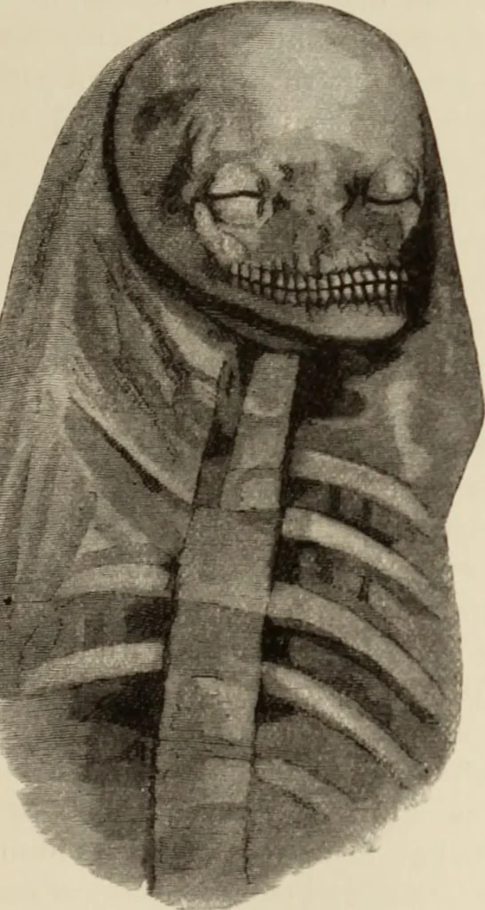 An illustration from Mycen©Œ : a narrative of researches and discoveries at Mycen©Œ and Tiryns, 1878, leaf 386